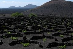 2003_04-Lanzarote-075