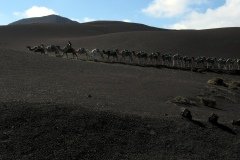 2003_04-Lanzarote-079