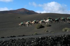 2003_04-Lanzarote-080