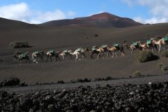 2003_04-Lanzarote-081