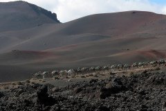 2003_04-Lanzarote-082