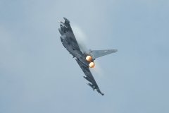 2006_07_08-EADS-Tag-47