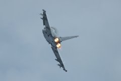2006_07_08-EADS-Tag-49