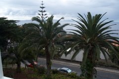 Madeira_2006_0002