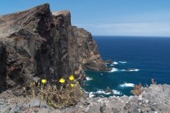 Madeira_2006_0040