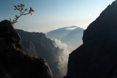 Madeira_2006_0057