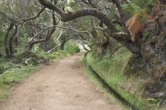 Madeira_2006_0106