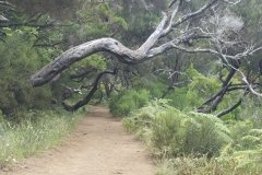 Madeira_2006_0108