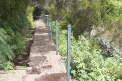 Madeira_2006_0110