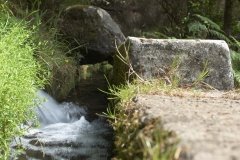 Madeira_2006_0111