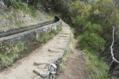 Madeira_2006_0113