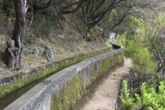 Madeira_2006_0115