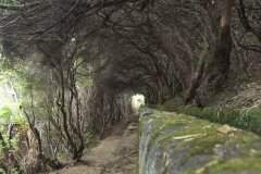 Madeira_2006_0118