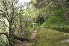 Madeira_2006_0119