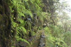 Madeira_2006_0120