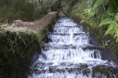 Madeira_2006_0125