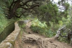 Madeira_2006_0126