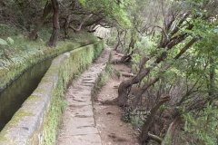 Madeira_2006_0127