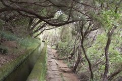 Madeira_2006_0128