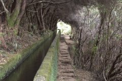 Madeira_2006_0129