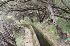 Madeira_2006_0130