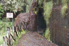 Madeira_2006_0132