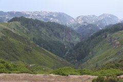 Madeira_2006_0134