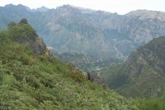 Madeira_2006_0136