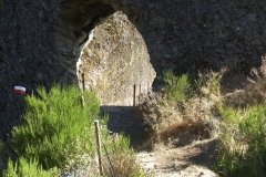 Madeira_2006_0162