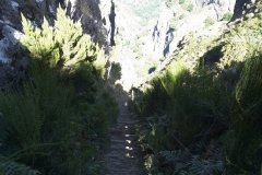 Madeira_2006_0166