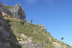 Madeira_2006_0170