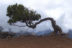 Madeira_2006_0187