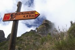Madeira_2006_0196