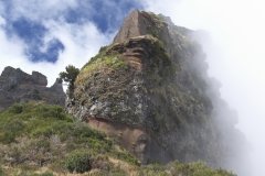 Madeira_2006_0197