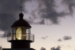 Madeira_2006_0249