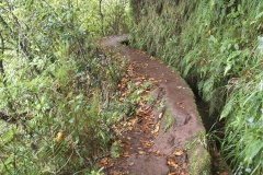 Madeira_2006_0250