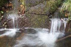 Madeira_2006_0251