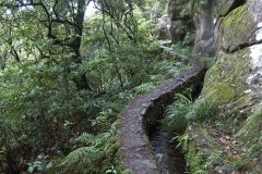 Madeira_2006_0253