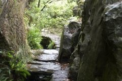 Madeira_2006_0255