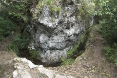 Madeira_2006_0261