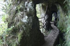 Madeira_2006_0270