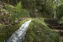 Madeira_2006_0275