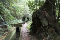 Madeira_2006_0286