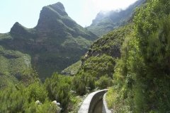Madeira_2006_0287