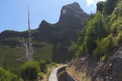 Madeira_2006_0289