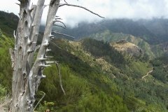 Madeira_2006_0290