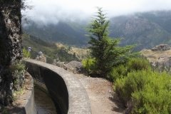 Madeira_2006_0291