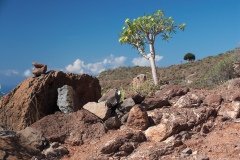 La Gomera 2008_02-0007