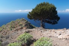 La Gomera 2008_02-0008