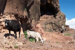 La Gomera 2008_02-0010